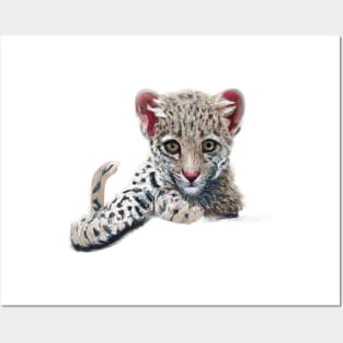 Cute Leopard Drawing Posters and Art